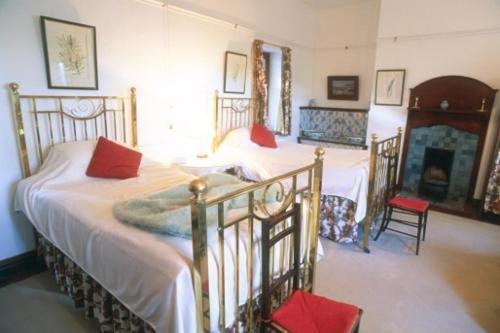 Lekkerwijn Historic Country House Франсхук Номер фото